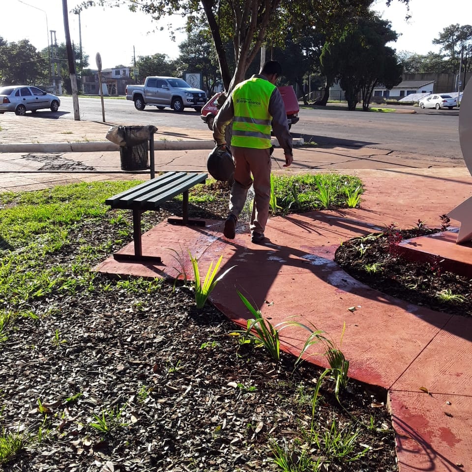 Tareas del Área de Parquización y Arbolado Público