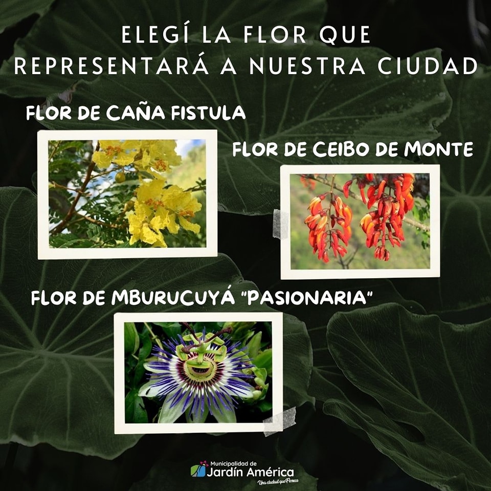 ¡Atención vecinos!