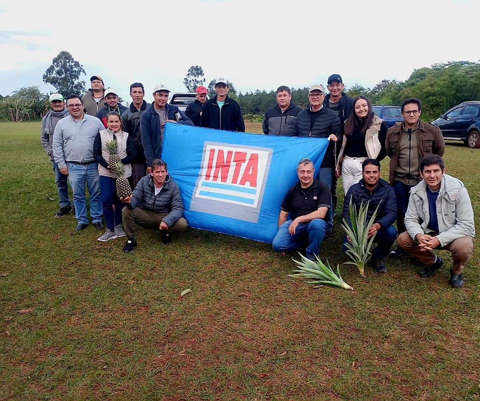 Se realizó en Colonia Oasis una valiosa capacitación sobre preparación de plantines de ananá basada en criterios agroclimáticos, destinada a productores de la zona