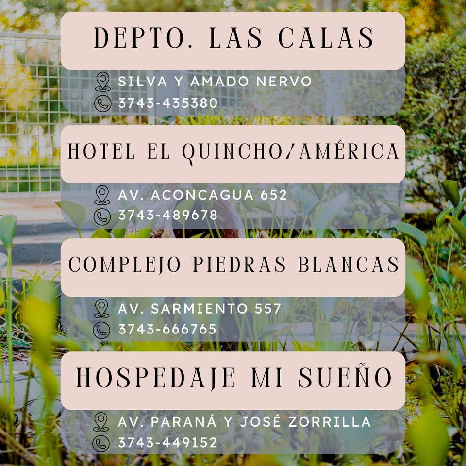 WhatsApp Image 2025-05-31 at 15.48.12 (1)