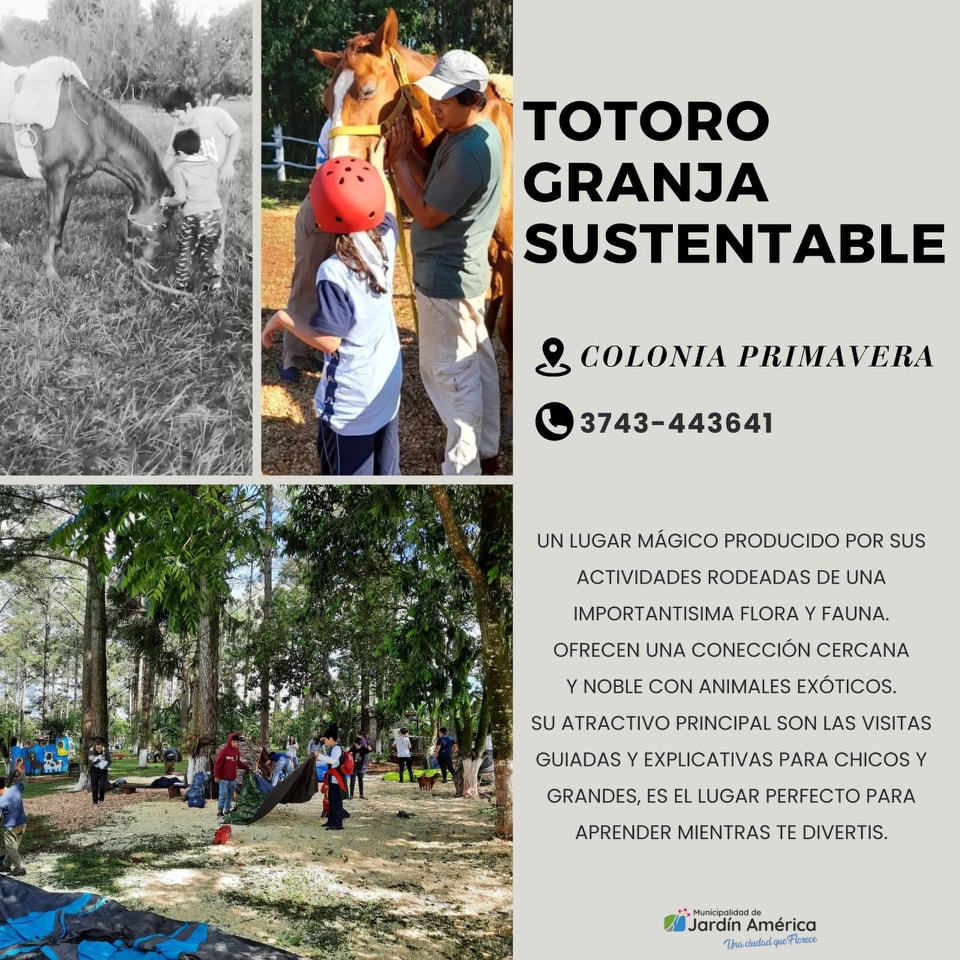 WhatsApp Image 2025-06-02 at 04.25.03