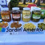 517393484_122219299964155275_7636167014409225244_n