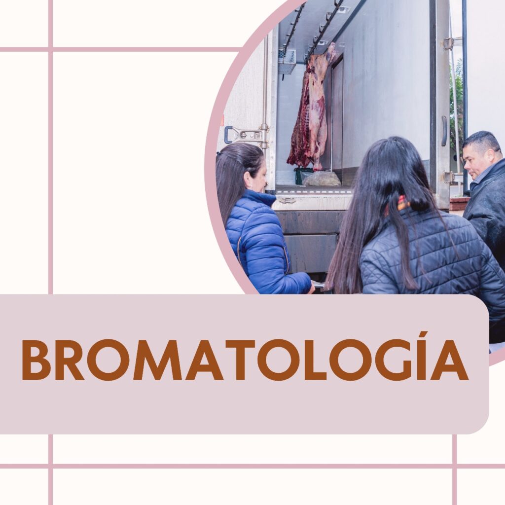 WhatsApp Image 2025-08-14 at 11.36.05 (1)