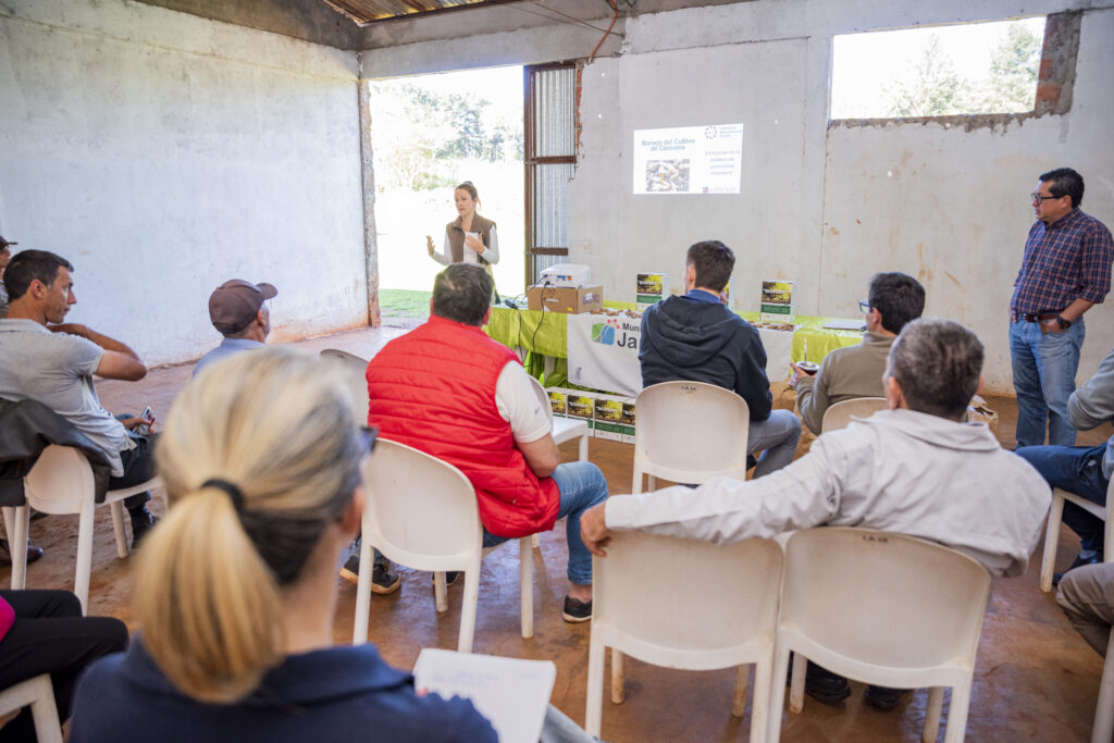 Se realizó con éxito la jornada sobre Manejo del Cultivo de Cúrcuma, organizada por el Instituto de Macroeconomía Circular (IMAC) en Colonia Oasis