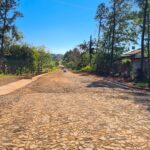 547739171_122228114612155275_2762693007930462432_n