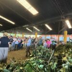 556436821_122229549470155275_1919874307721803340_n