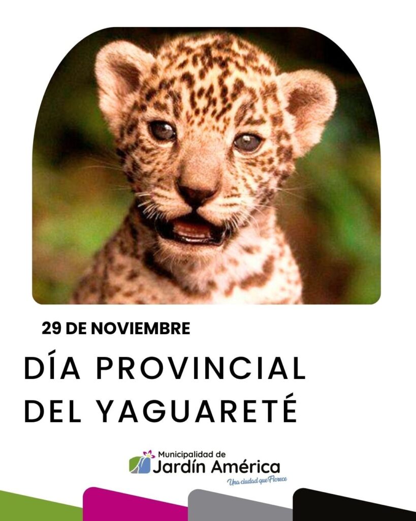 Día Provincial del Yaguareté